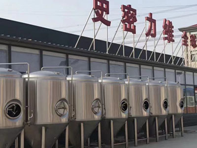 利辛精酿啤酒设备厂—市场规模与跨界新需求